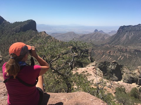 Enjoying The View