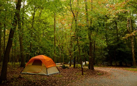 a tent in the Greenbelt Park Maryland campground