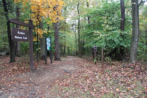 a trail in Greenbelt Park Maryland