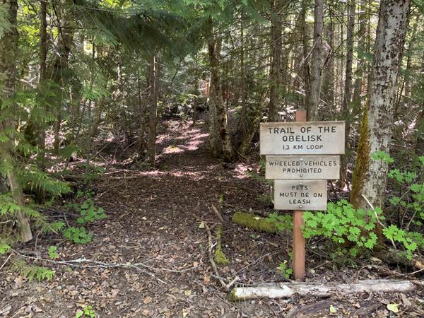 A wooden trail sign next to a path in the forest.