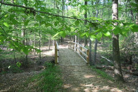 a trail in Greenbelt Park Maryland