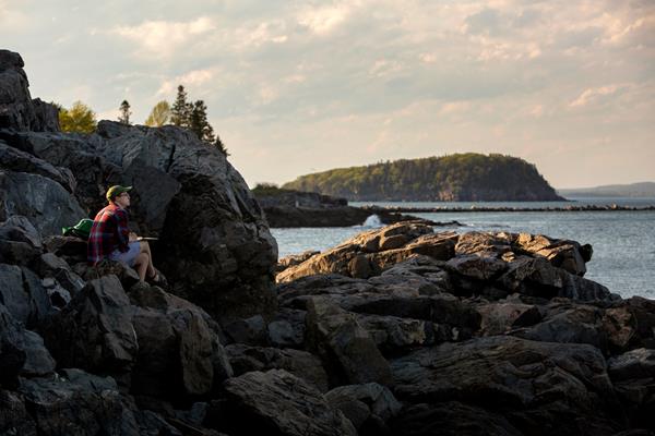 Visitor sitting on rocks looking out at the ocean