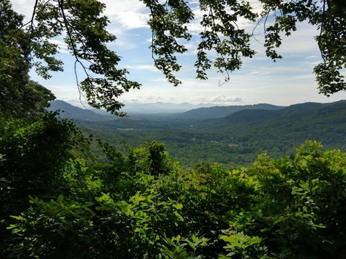 Chestnut Cove Overlook