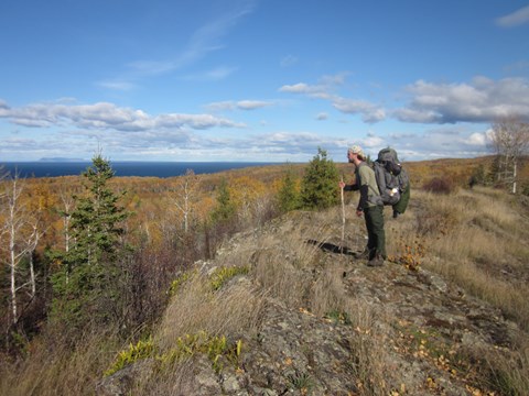 A person with a backpack and a stick stands on an exposed ridge overlooking a forest and a lake.
