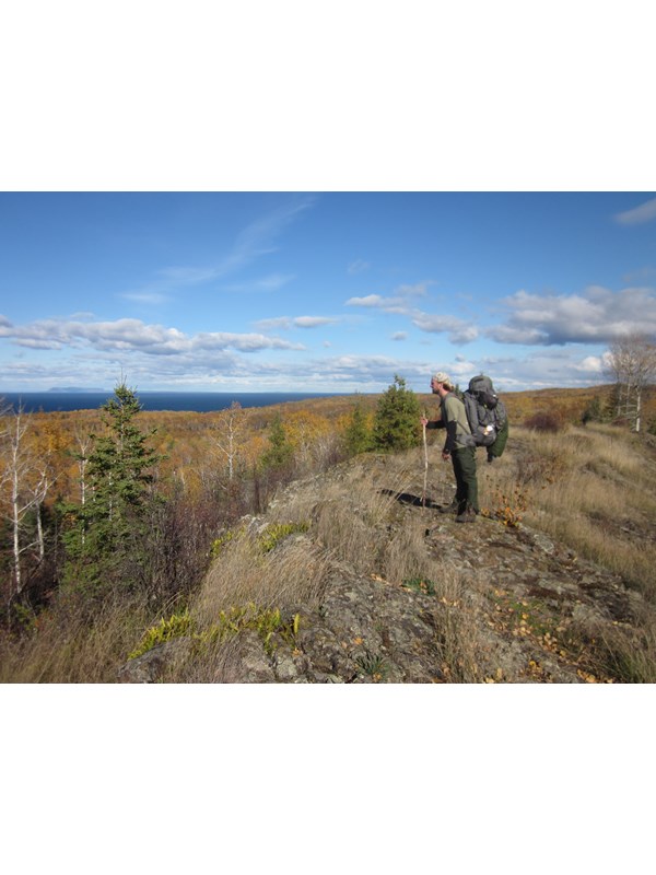 A person with a backpack and a stick stands on an exposed ridge overlooking a forest and a lake.