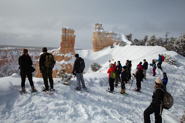 A group of people in snowshoes stand on the rim of a limestone spire-lined canyon