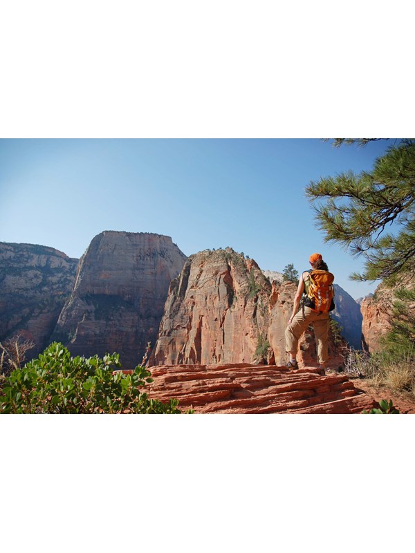 A hiker with an orange backpack standing on sandstone looks at the Angels Landing peak.