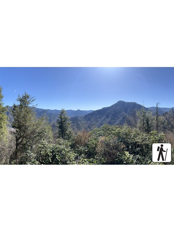 An Appalachian mountain view on a sunny day. Trees and other vegetation in the foreground.
