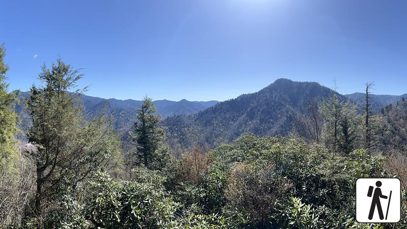 Hike to Chimney Tops Overlook