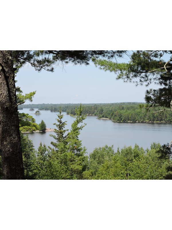 A view of Kabetogama Lake framed by pine trees.