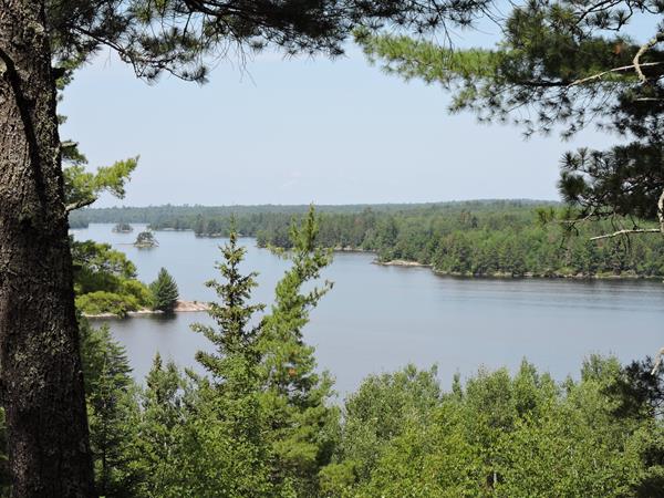 A view of Kabetogama Lake framed by pine trees.