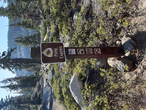 A wooden trail sign in the forest.