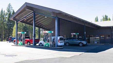 Yellowstone Forever office