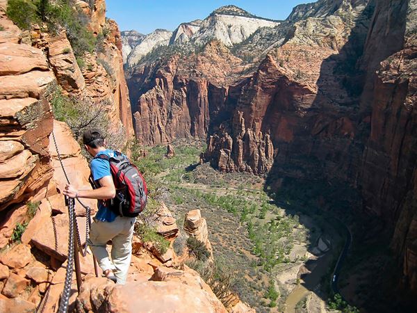 A hiker in a blue shirt holds onto the chains while traversing a sandstone cliff on Angels Landing.