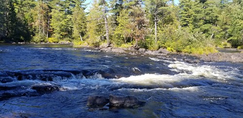 Bowlin Falls