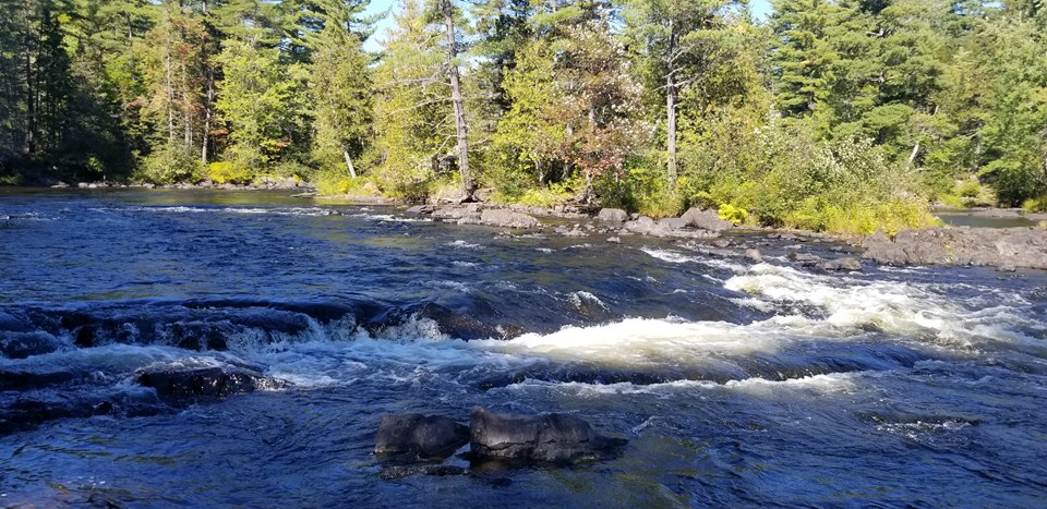 Rapids and a small waterfall along a turbulent section of river surrounded by forest on both sides.