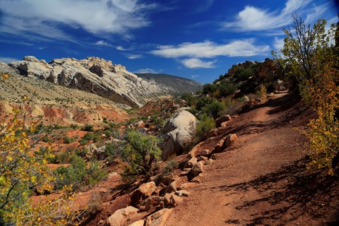 A trail on red colored soil leads through low shrubs with views of a rocky mountain in the distance.
