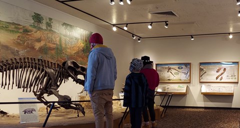People looking at fossil exhibits in museum lighting, including articulated skeletons.