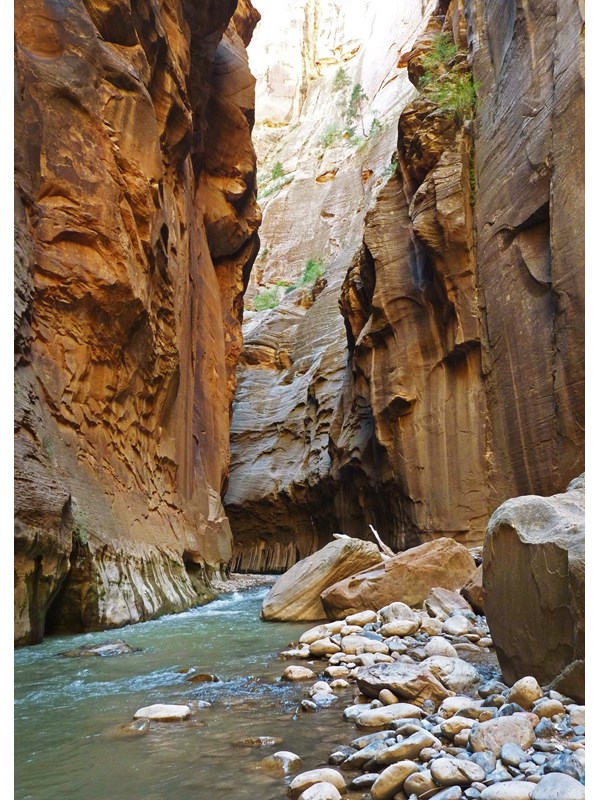 Red sandstone canyon walls frame the blue water of the Virgin River below.