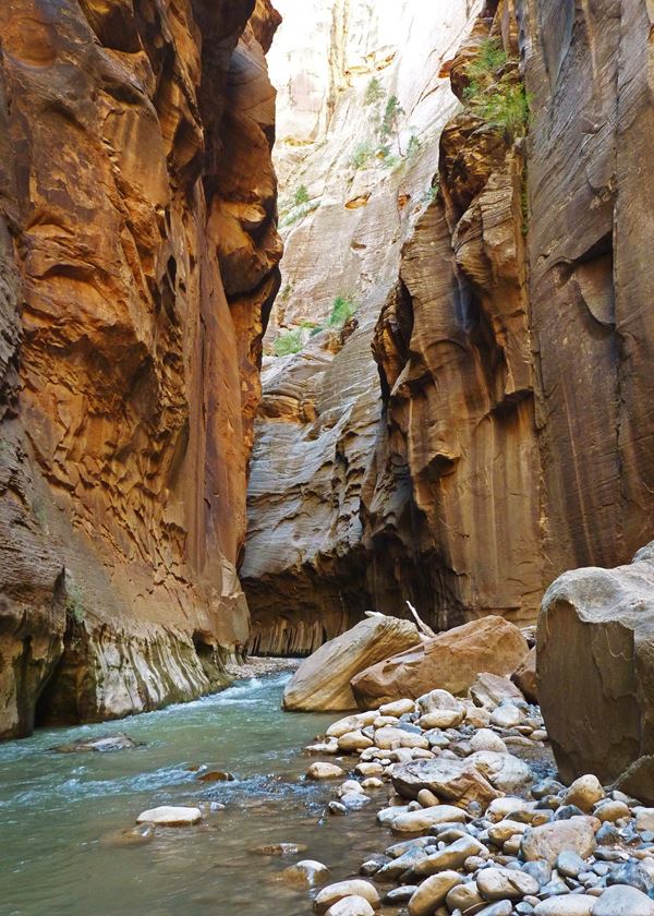 Red sandstone canyon walls frame the blue water of the Virgin River in the Narrows.