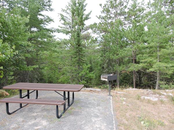 A picnic table and raised charcoal grill in front of trees