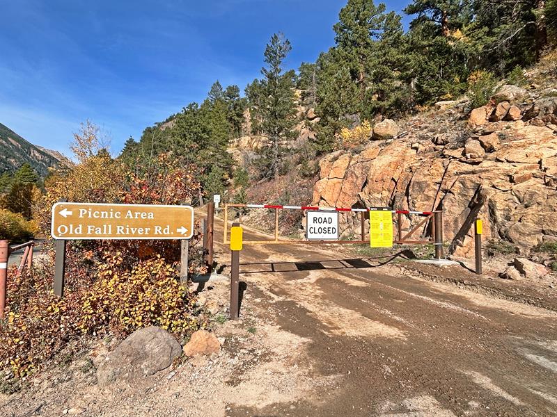 Enjoy a Scenic Drive on Old Fall River Road