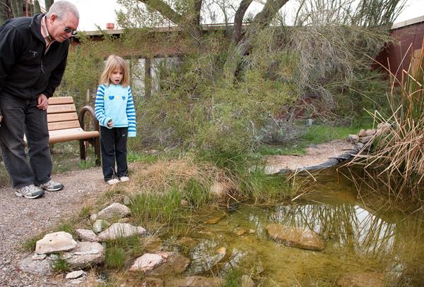 Older man and young girl look into a small pond outside of the Kris Eggle Visitor Center.