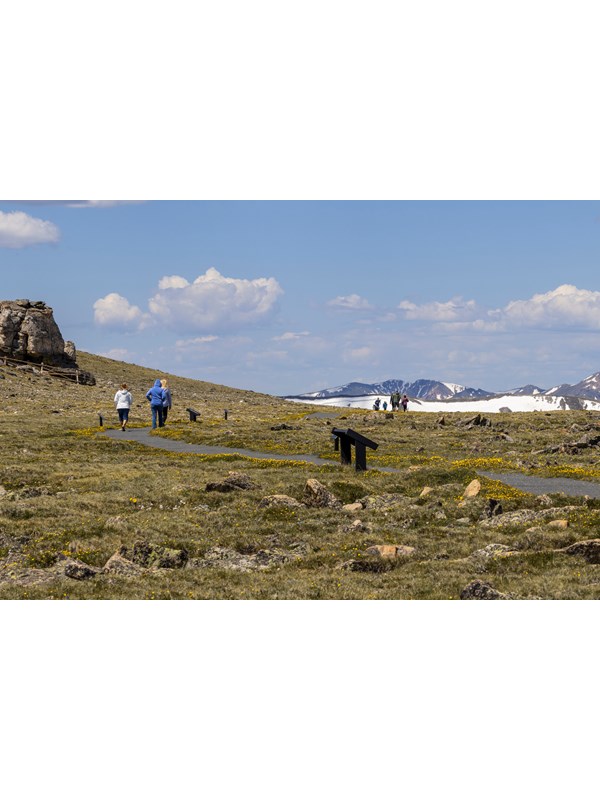 Visitors are hiking on the Tundra Communities Trail