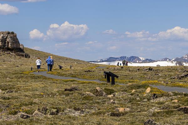 Visitors are hiking on the Alpine Communities Trail in July