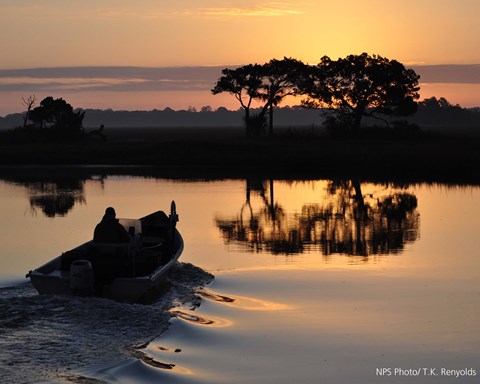 boat on water at dawn with tree reflected in water