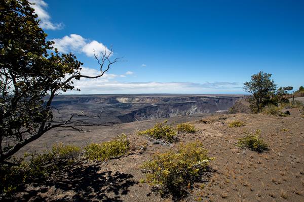 A deep crater within a volcanic caldera with a tree in the foreground