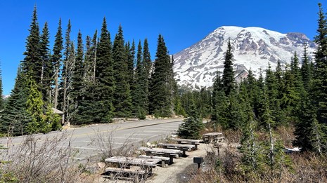 Cades Cove Picnic Area (U.S. National Park Service)