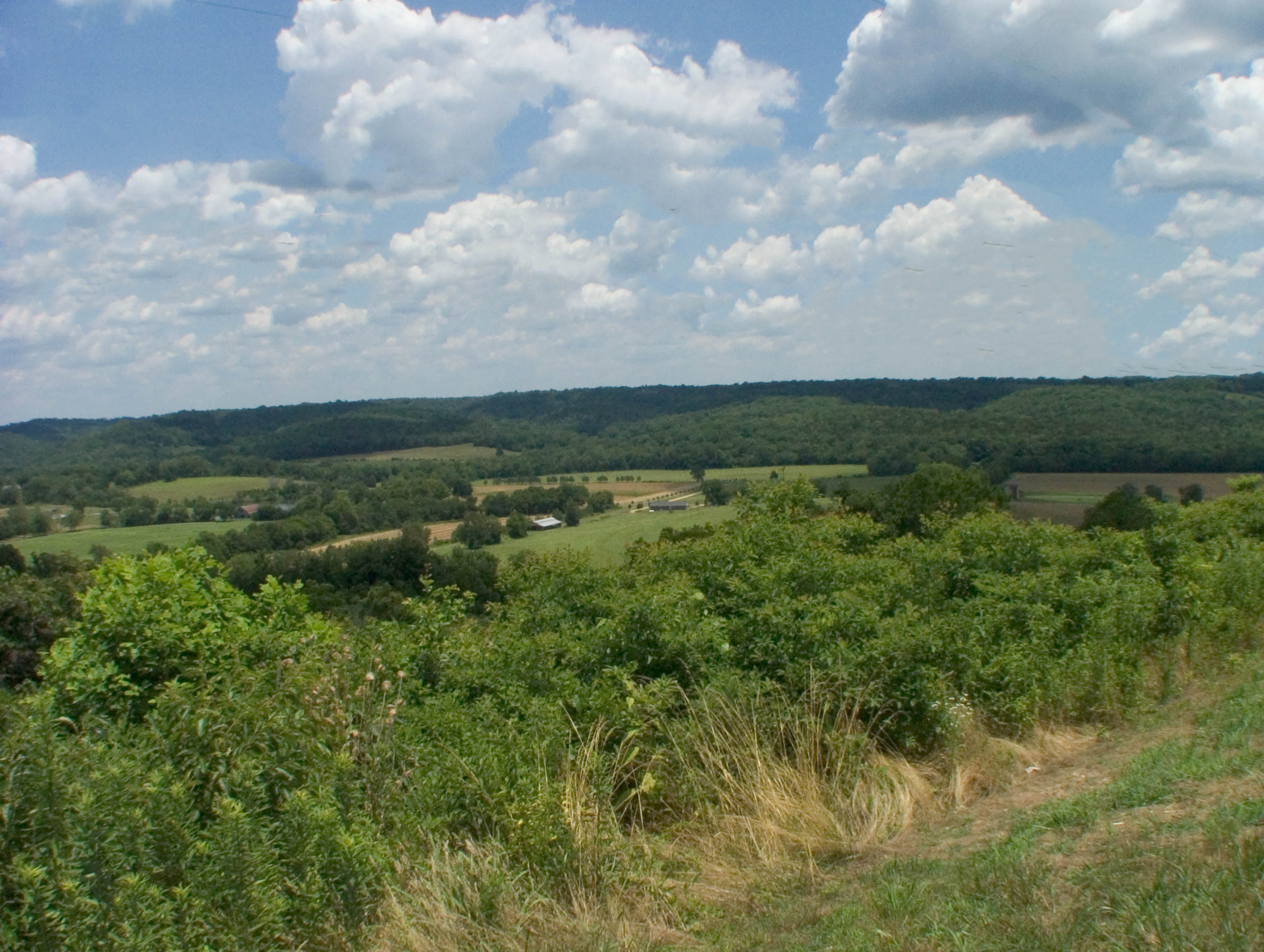 Water Valley Overlook, Milepost 411.8