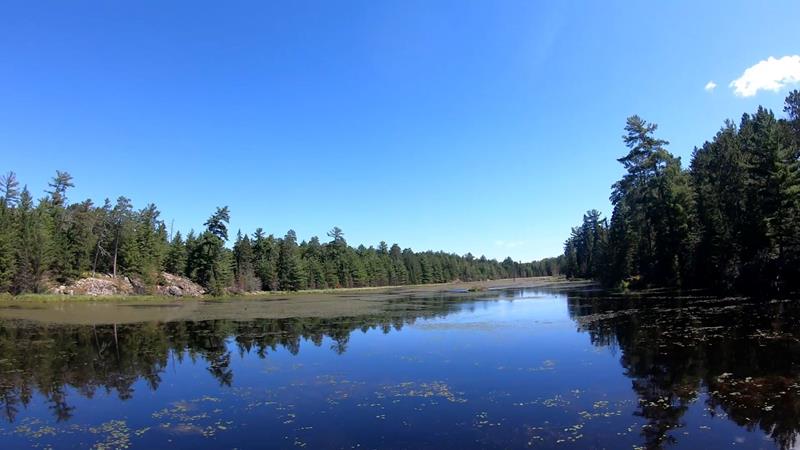 Hike Black Bay Beaver Pond Trail