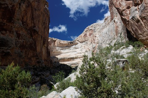 Large cliffs of white rock rise above green shrubs to a blue sky.