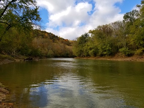 A river with tall trees on each bank