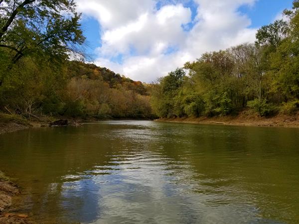 A river with tall trees on each bank