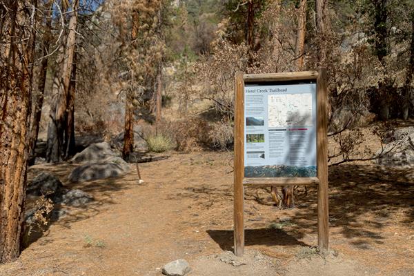 Trail through trees with burnt trunks with a trailhead sign in front