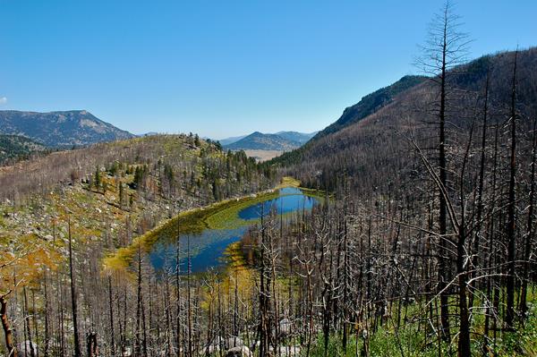 A view of Cub Lake in a burn area following the Fern Lake Fire
