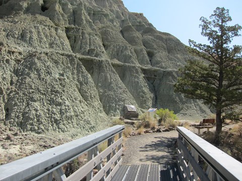 A metal bridge leads to blue-green claystones with a tree on the side.