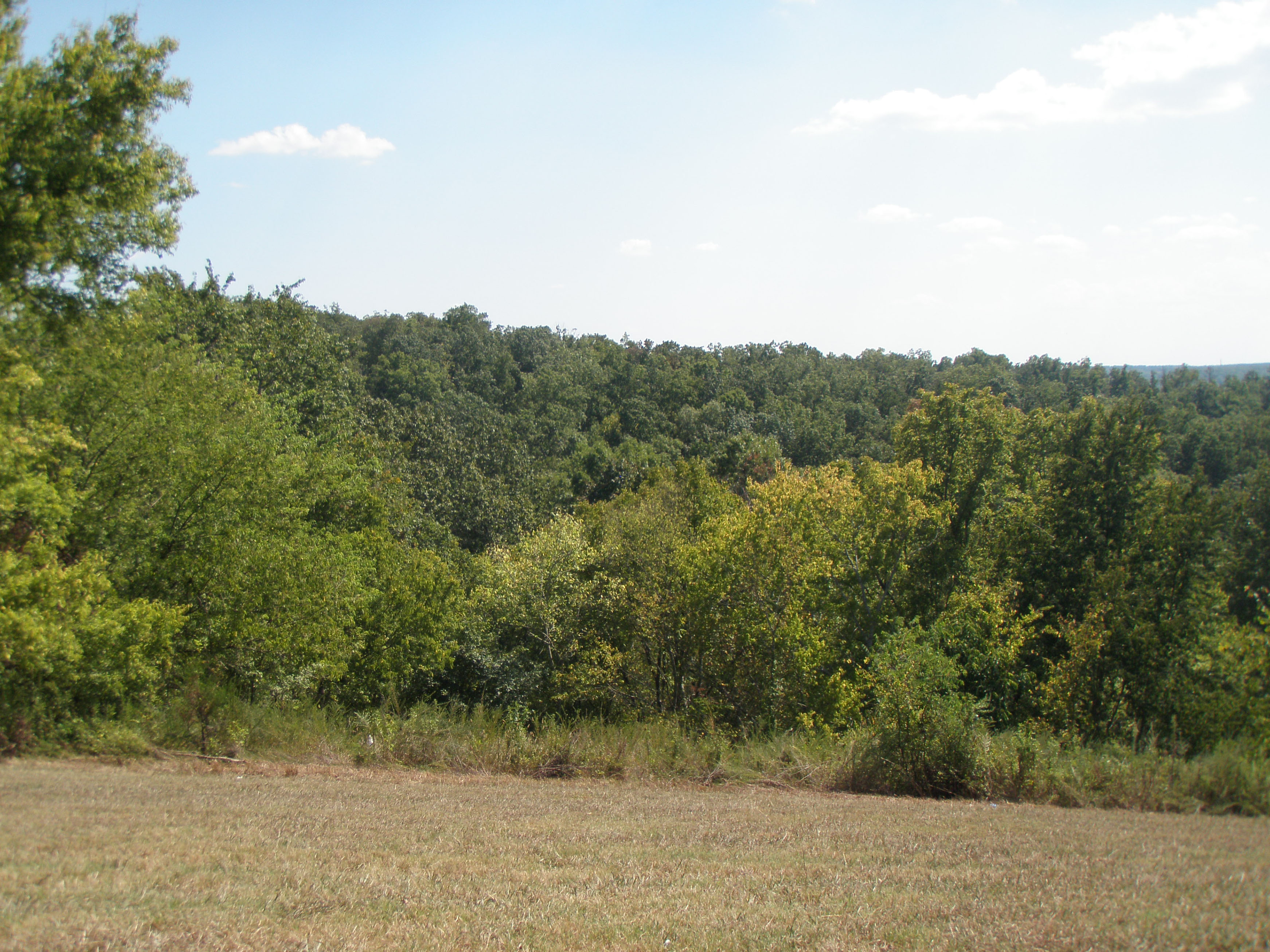 Swan View Overlook, Milepost 392.5