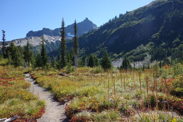 A trail cuts through a subalpine meadow with red and yellow fall foliage.