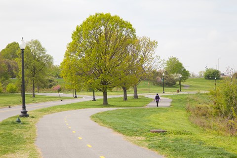 The winding riverwalk trail stretches along the Anacostia River and is a great place to picnic.