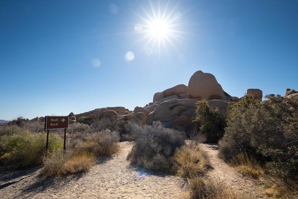 Scattered shrubs and a skull rock sign pointing towards large rock formations in the background.
