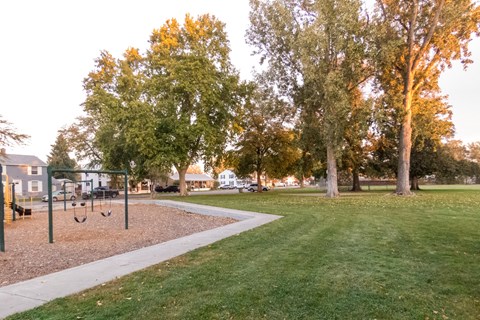 Color photograph of a green space with large trees in the background and a playground.