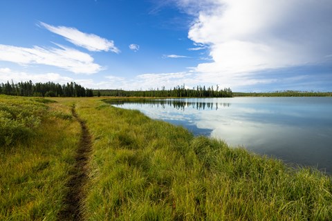 A trail runs through the grass alongside a lake.
