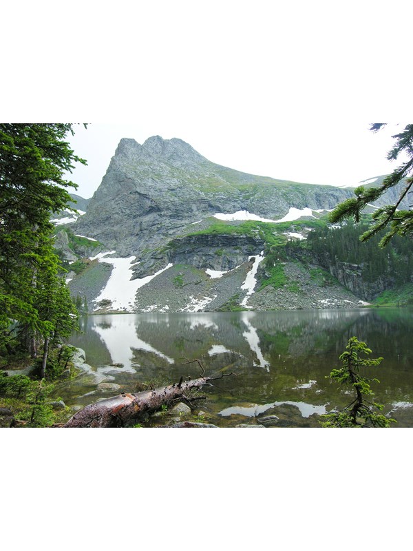 An alpine lake with conifer trees at the side, and rocky summit with snow
