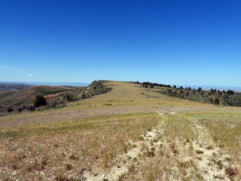 A two-track road leads through the grass up to the edge of a ridge. Trees are visible to the side.