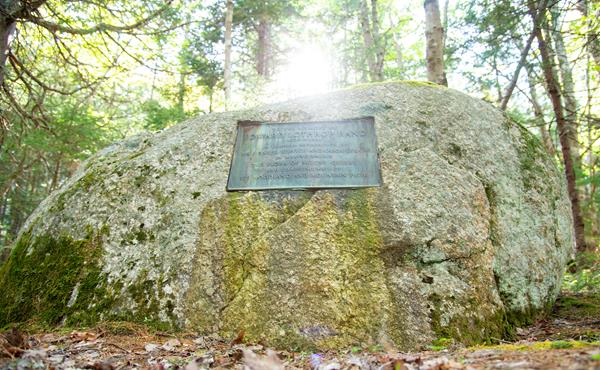 sunshine through the trees above a large rock with bronze plaque embedded in it