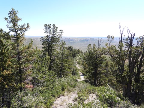 A trail leads downhill between shrubs and conifers. Ridges and valleys are visible in the distance.